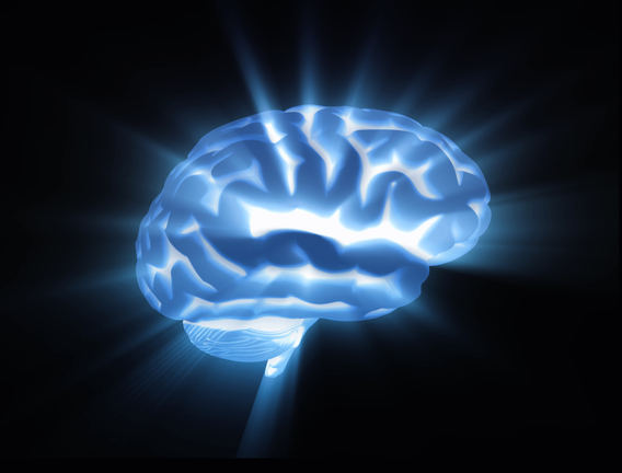 luminous brain